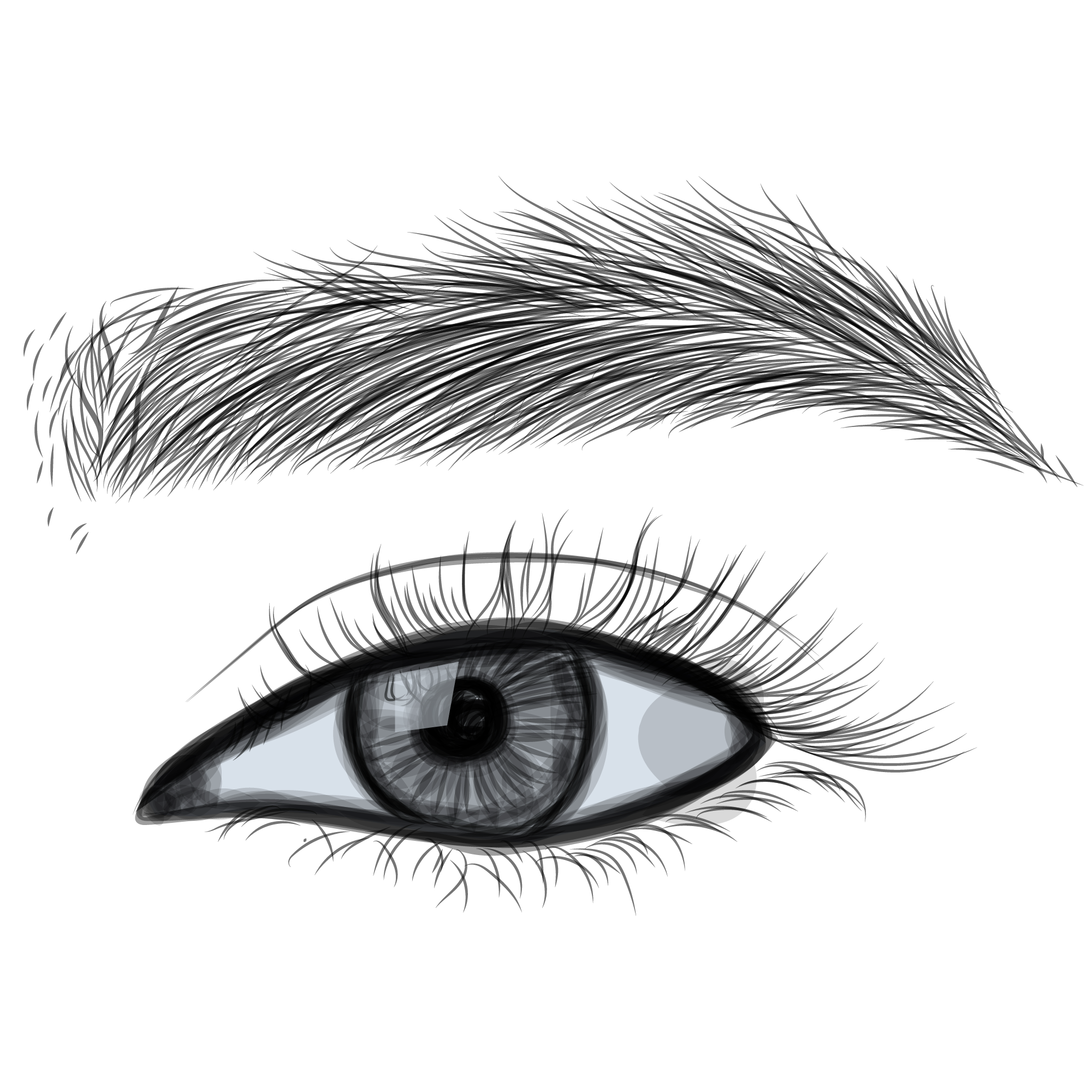 Для роста бровей